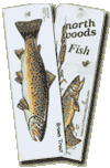fish identification guide
